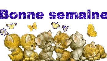a tous