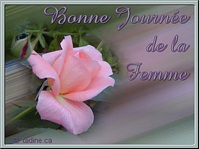 8 mars