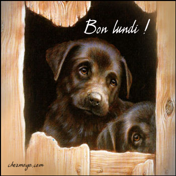 lundi