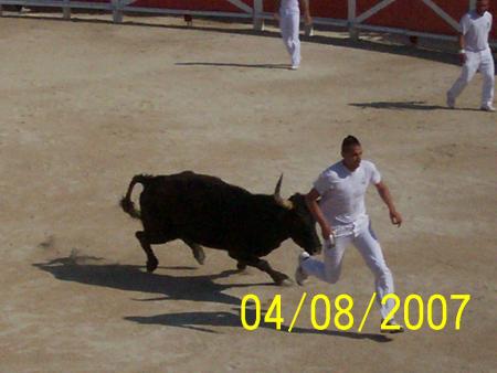 toro