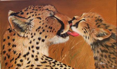 guépard