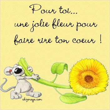 ma marie