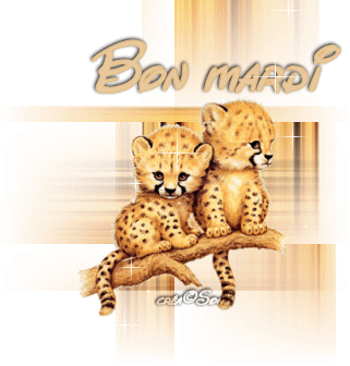 a vous